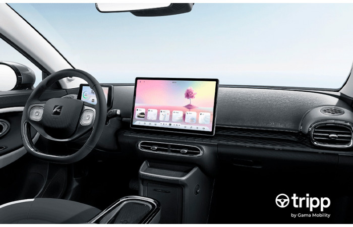 IGNITE 30X IGNITE 30X