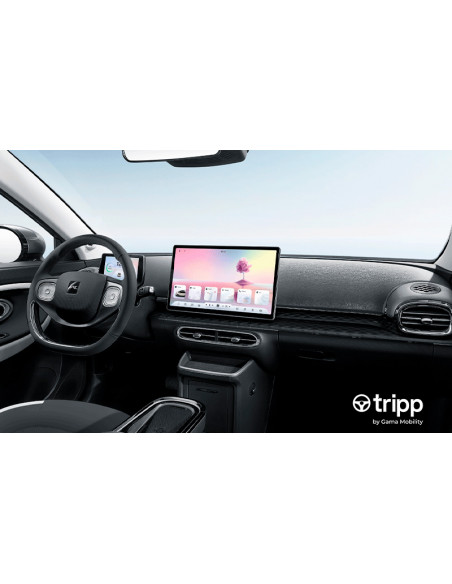 IGNITE 30X IGNITE 30X